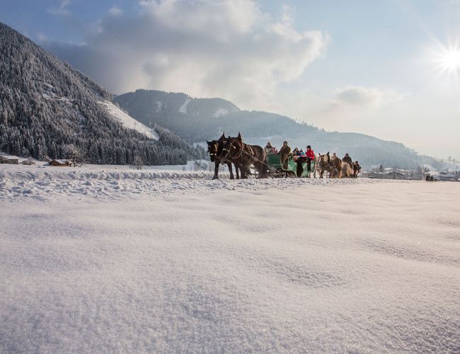 Pferdeschlittenfahrten Land Salzburg